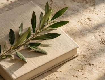 An olive branch rests on a closed linen-covered notebook in warm sunlight.